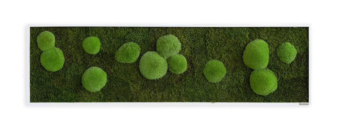 MOOSBILD Stylegreen  - Weiß/Grün, Basics, Naturmaterialien/Holz (140/40/6cm)