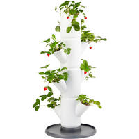 PFLANZENTOPF  SISSI STRAWBERRY  - Weiß, Basics, Kunststoff (32/77cm) - Gusta Garden