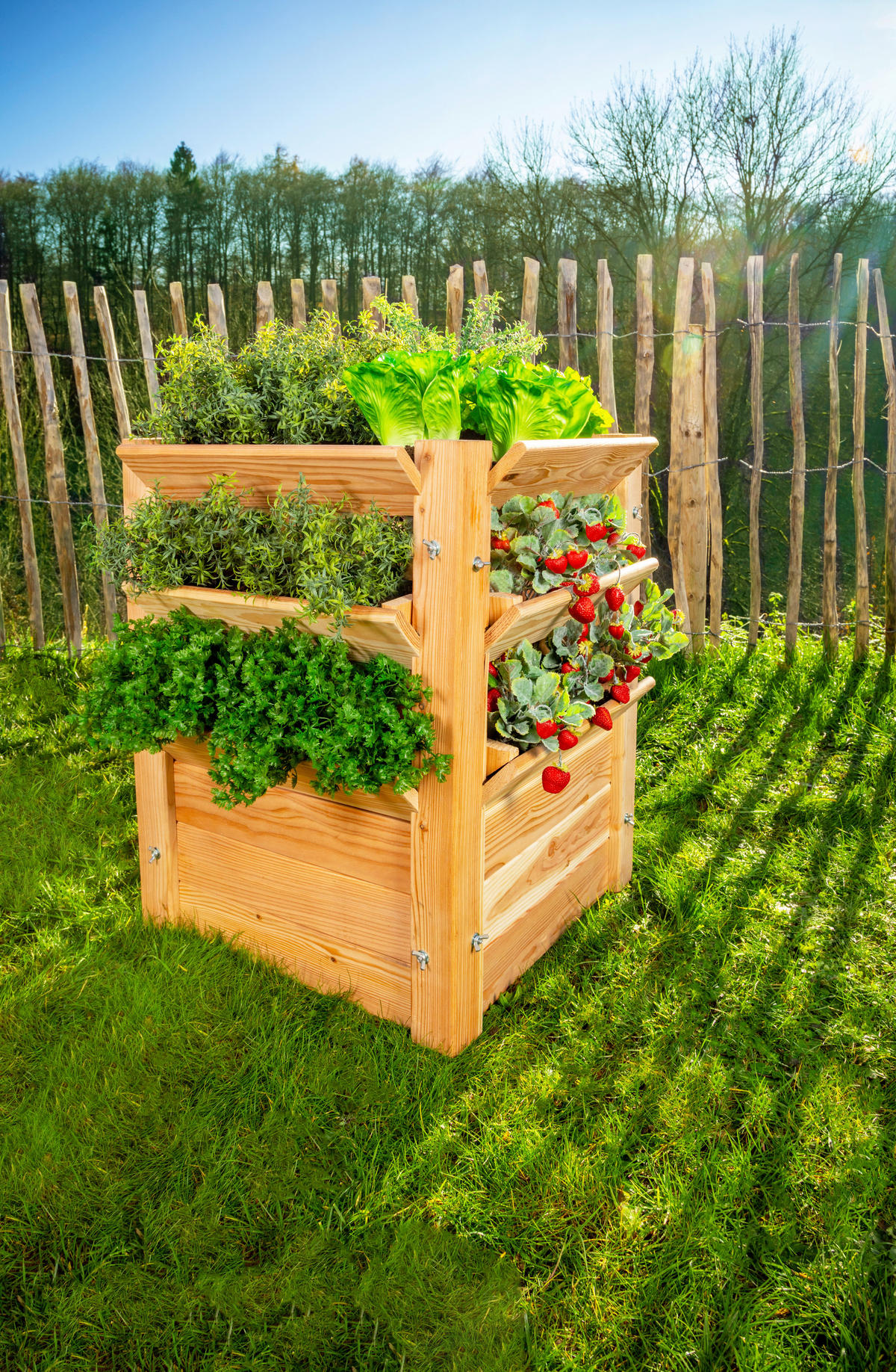 VYVÝŠENÝ ZÁHON   - farba smrekovca, Basics, drevo (65/73/65cm)