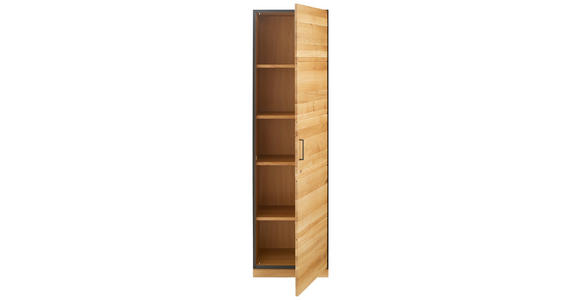 AKTENSCHRANK Asteiche teilmassiv Anthrazit, Eichefarben  - Eichefarben/Anthrazit, Natur, Holz/Holzwerkstoff (55/197/40cm) - Linea Natura