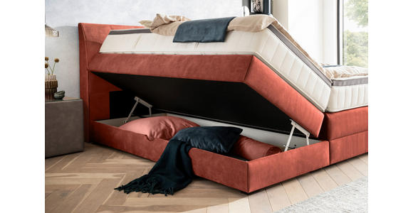 BOXSPRINGBETT 160/200 cm  in Koralle  - Wengefarben/Koralle, KONVENTIONELL, Holz/Textil (160/200cm) - Novel