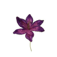 KUNSTBLUME - Basics (23/10/60cm)