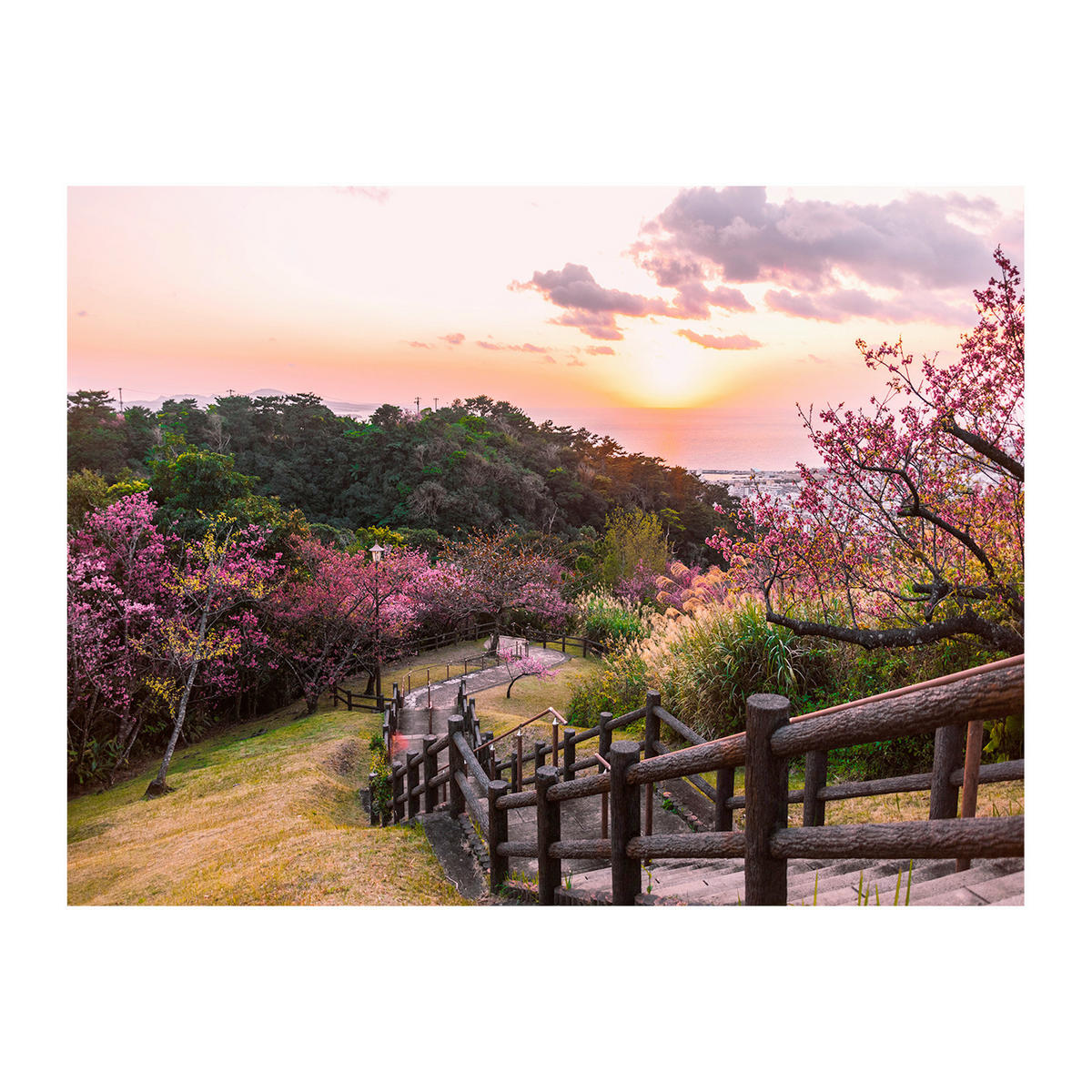 LEINWANDBILD Landschaft & Natur 85/113 cm  - Multicolor, Basics, Holz/Textil (85/113cm)