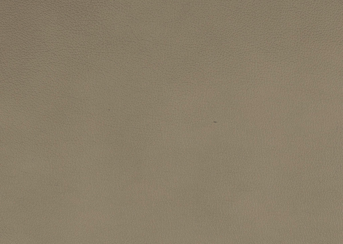 WOHNLANDSCHAFT in Echtleder Hellbraun  - Hellbraun/Schwarz, Design, Leder/Metall (181/336/206cm) - Beldomo Speed