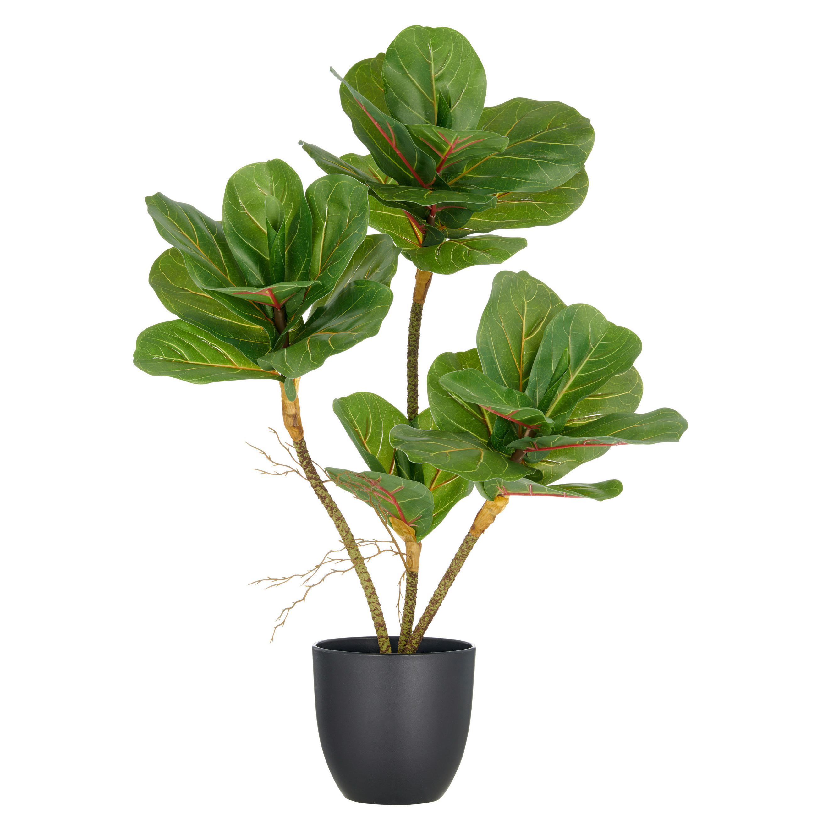 KUNSTPFLANZE 65 cm  - Schwarz/Braun, Basics, Kunststoff (65cm) - P & B
