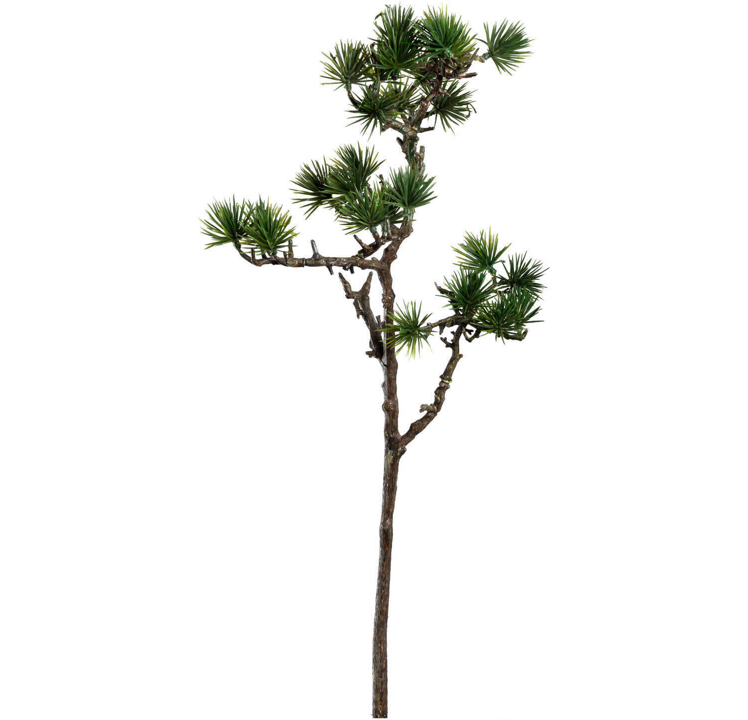 OKRASNA VEJICA - zelena/rjava, Trendi, kovina/umetna masa (5,00/62,00/5,00cm) - Leonardo