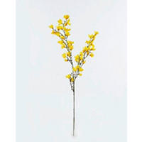 MŰNÖVÉNY - sárga/zöld, Basics, műanyag