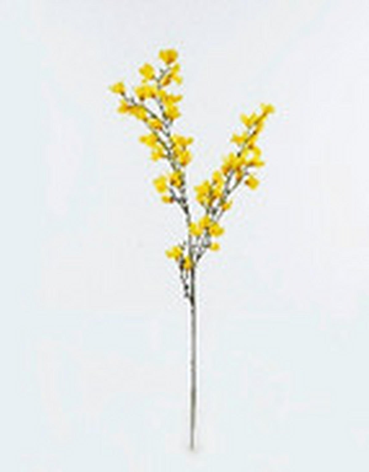 MŰNÖVÉNY - sárga/zöld, Basics, műanyag