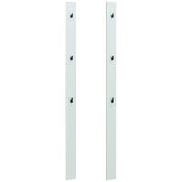 GARDEROBENPANEEL 2 Stück  in 10/163/1,6 cm  - Salbeigrün, MODERN, Holzwerkstoff (10/163/1,6cm) - Hom`in