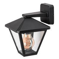 SPOLJNA ZIDNA SVETILJKA - prozirna/crna, Konvencionalno, staklo/metal (16/22cm)
