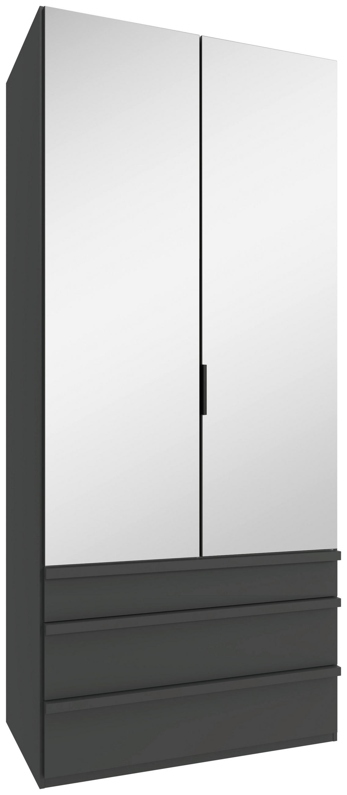 FALTTÜRENSCHRANK in Graphitfarben  - Schwarz/Graphitfarben, Design, Glas/Holzwerkstoff (100/236/58cm) - Boxxx