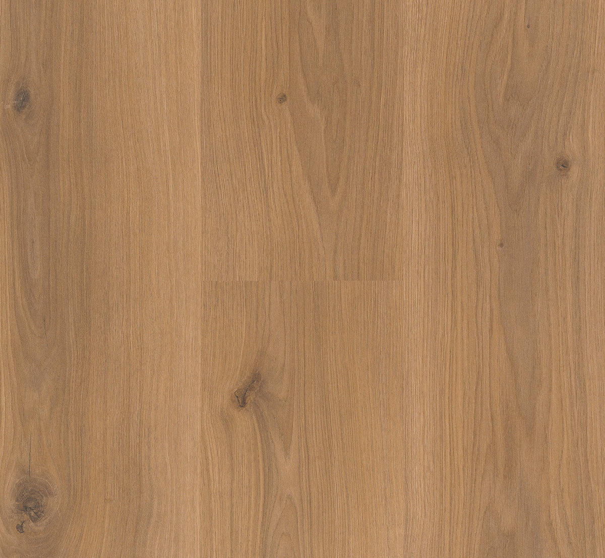 LAMINATBODEN Laminat Basic 400  per  m² - Eichefarben, Basics, Holzwerkstoff (128.5/19.4/0.8cm) - Parador