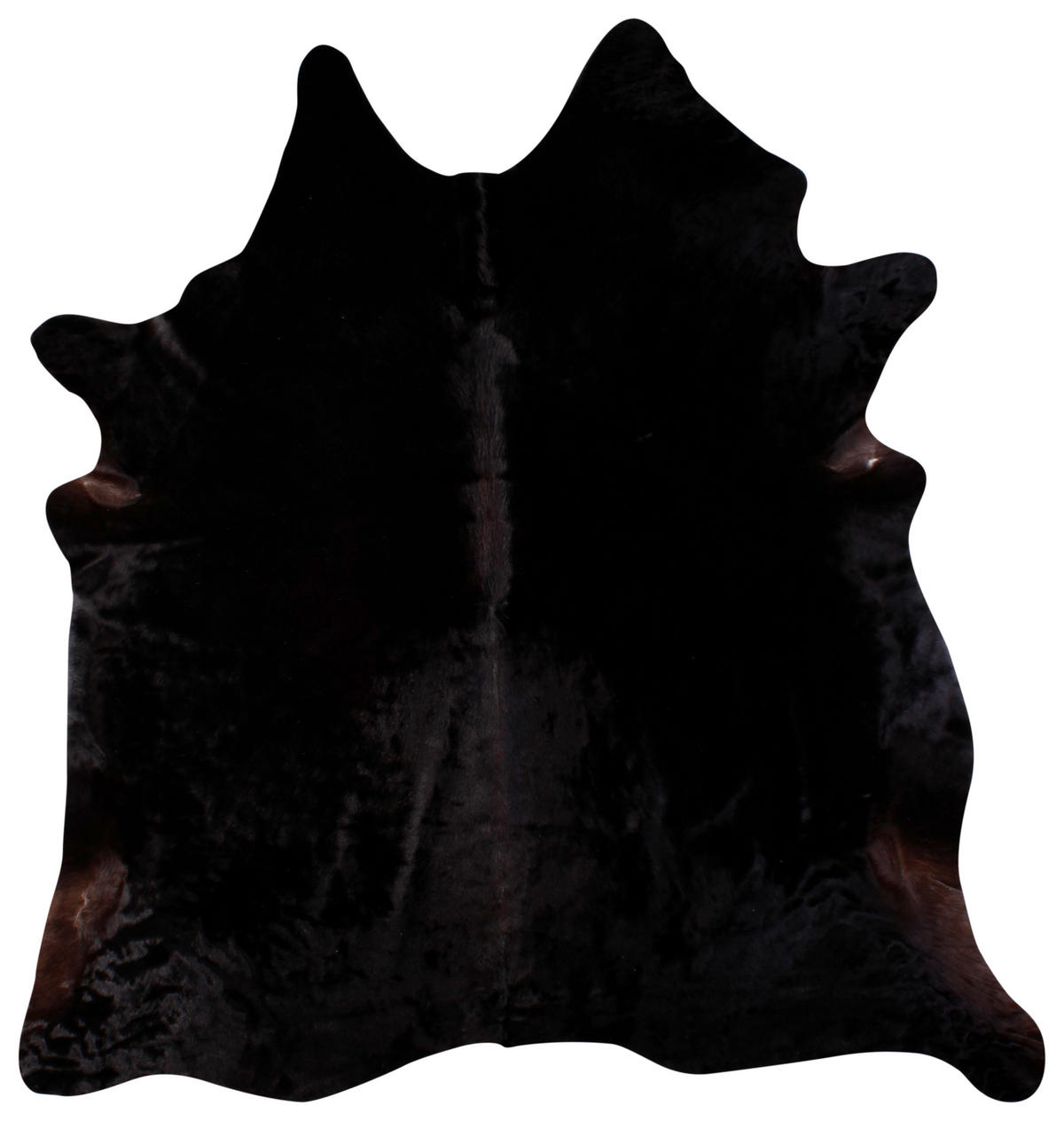 RINDERFELL 160/250 cm Schwarz  - Schwarz, Basics, Leder/Fell (160/250cm) - Linea Natura