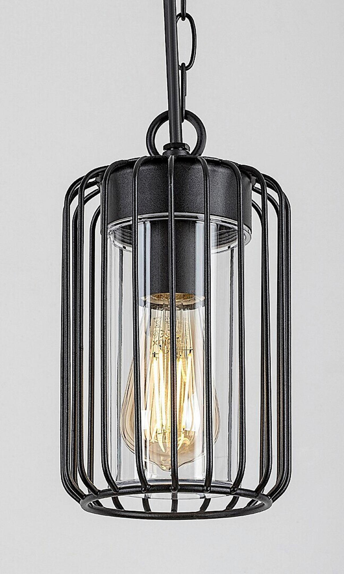 VISEĆA SVJETILJKA VANJSKA Tarpa  - prozirno/crna, Basics, metal/plastika (13.5/74cm)