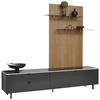 WOHNWAND  in Anthrazit, Naturfarben, Eichefarben 216/198,3/46 cm  - Eichefarben/Anthrazit, Design, Glas/Holz (216/198,3/46cm) - Dieter Knoll