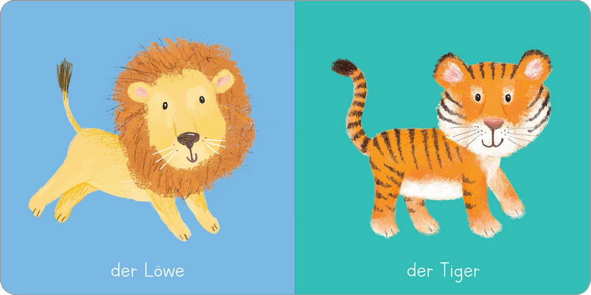 BILDERBUCH  - Multicolor, Basics, Papier (16,6/16,4/1,6cm) - Carlsen