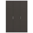 DREHTÜRENSCHRANK  in Graphitfarben  - Edelstahlfarben/Graphitfarben, Basics, Holzwerkstoff/Metall (151/235/61cm) - Novel