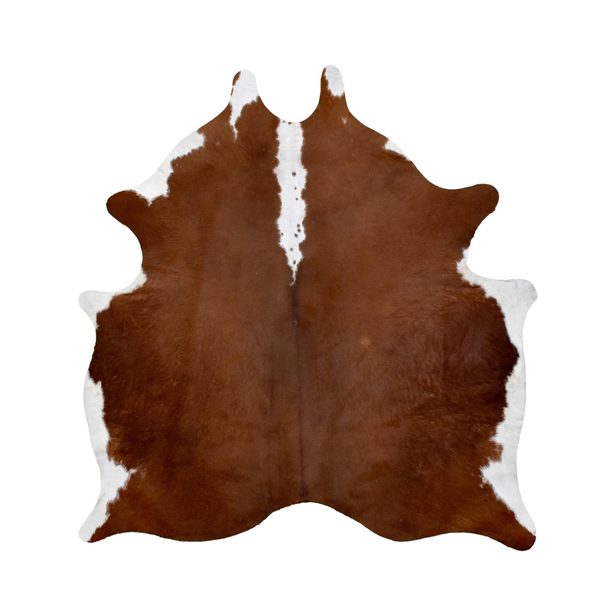 RINDERFELL Cordoba Braun  - Braun, Natur, Leder/Fell (3-4qm) - Linea Natura