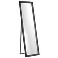 STANDSPIEGEL 50/180/42 cm  - Anthrazit, Design, Glas/Holzwerkstoff (50/180/42cm) - Xora