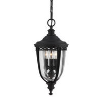 ZUNANJA VISEČA SVETILKA  English Bridle      21.6/58 cm       - črna, Basics, kovina/steklo (21.6/58cm) - Elstead Lighting