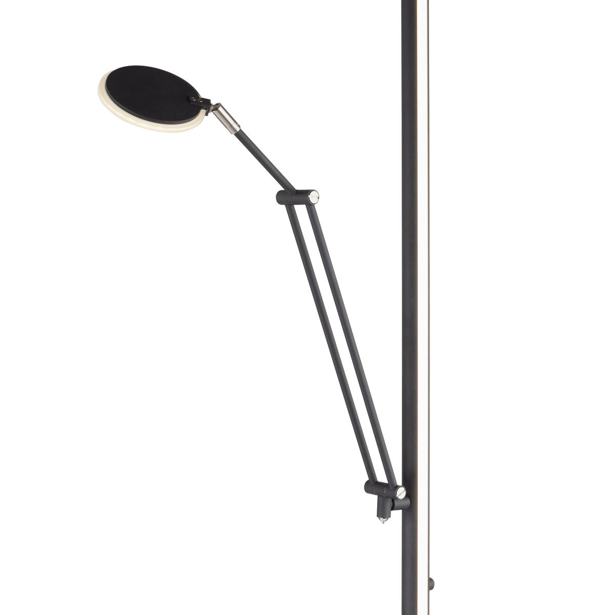 LED STOJACÍ LAMPA, 87/44/202 cm - antracitová, Design, kov/plast (87/44/202cm)