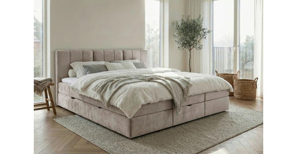 FAMILIENBETT - Graubraun/Schwarz, Design, Holzwerkstoff/Kunststoff (210/200cm) - Esposa