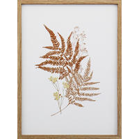 UMETNIŠKI POTISK  30/40 cm   - svetlo rjava/rjava, Natur, umetna masa/tekstil (30/40cm) - Monee