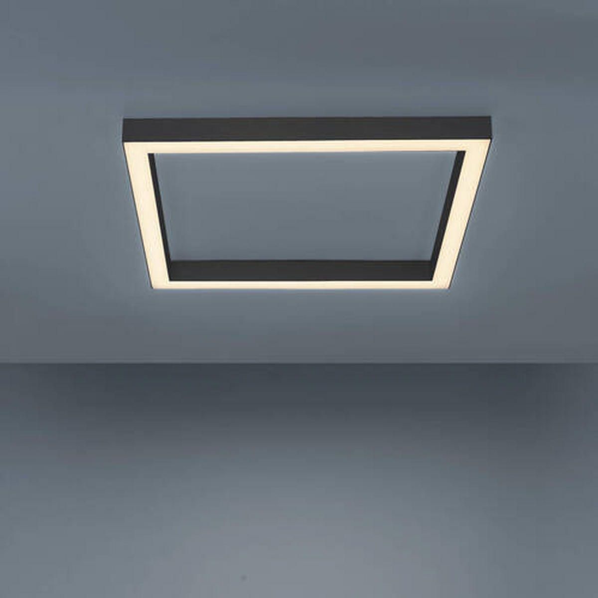 STROPNÍ LED SVÍTIDLO, 55/55/3,9 cm - antracitová, Design, kov/plast (55/55/3,9cm)