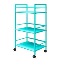 SERVIERWAGEN Mintgrün  - Mintgrün, Design, Kunststoff/Metall (43/77/29cm) - MID.YOU
