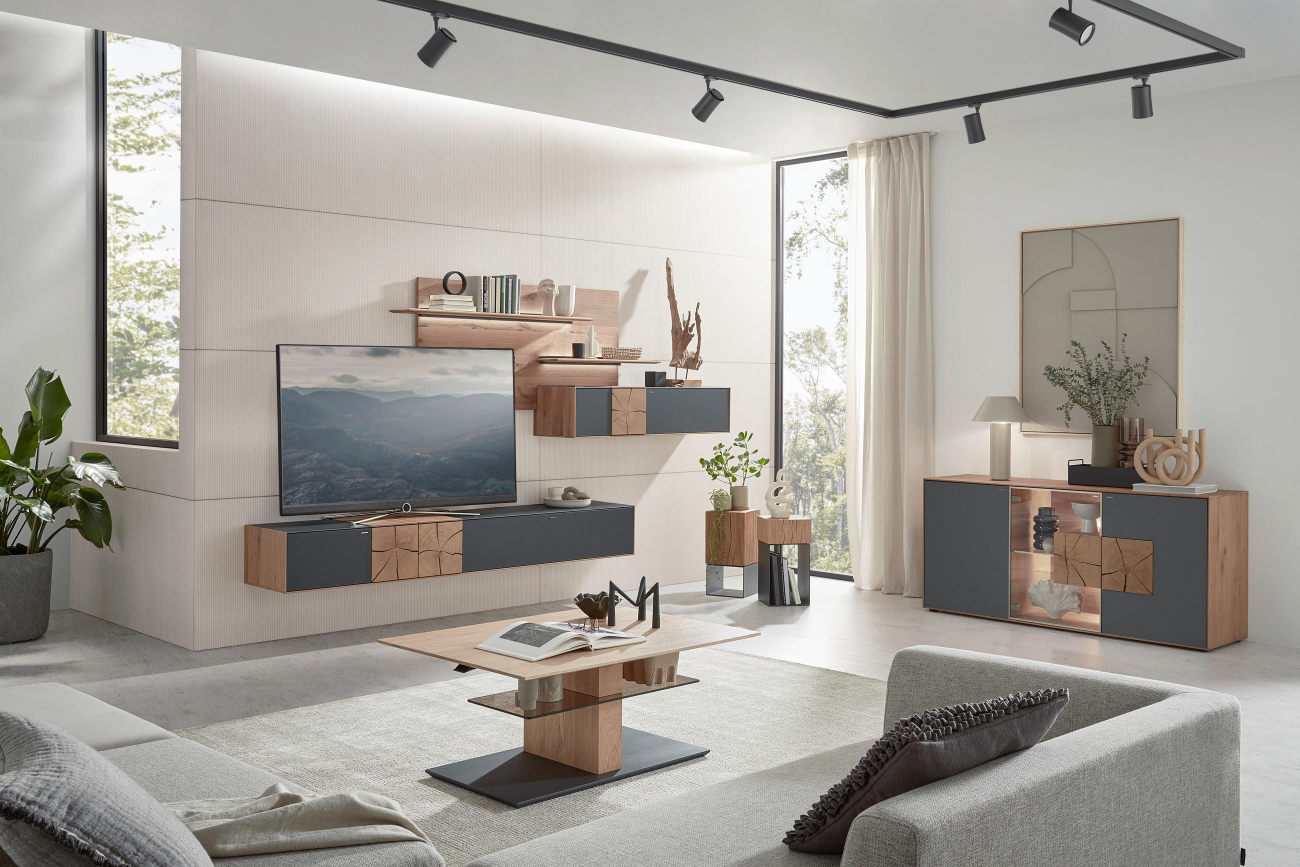 WOHNWAND in Anthrazit, Eichefarben 343/196/44 cm - Eichefarben/Anthrazit, Design, Glas/Holz (343/196/44cm) - Valnatura