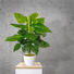 KUNSTPFLANZE Philodendron - Grün, Kunststoff (50cm) KUNSTPFLANZE Philodendron - Grün, Kunststoff (50cm)