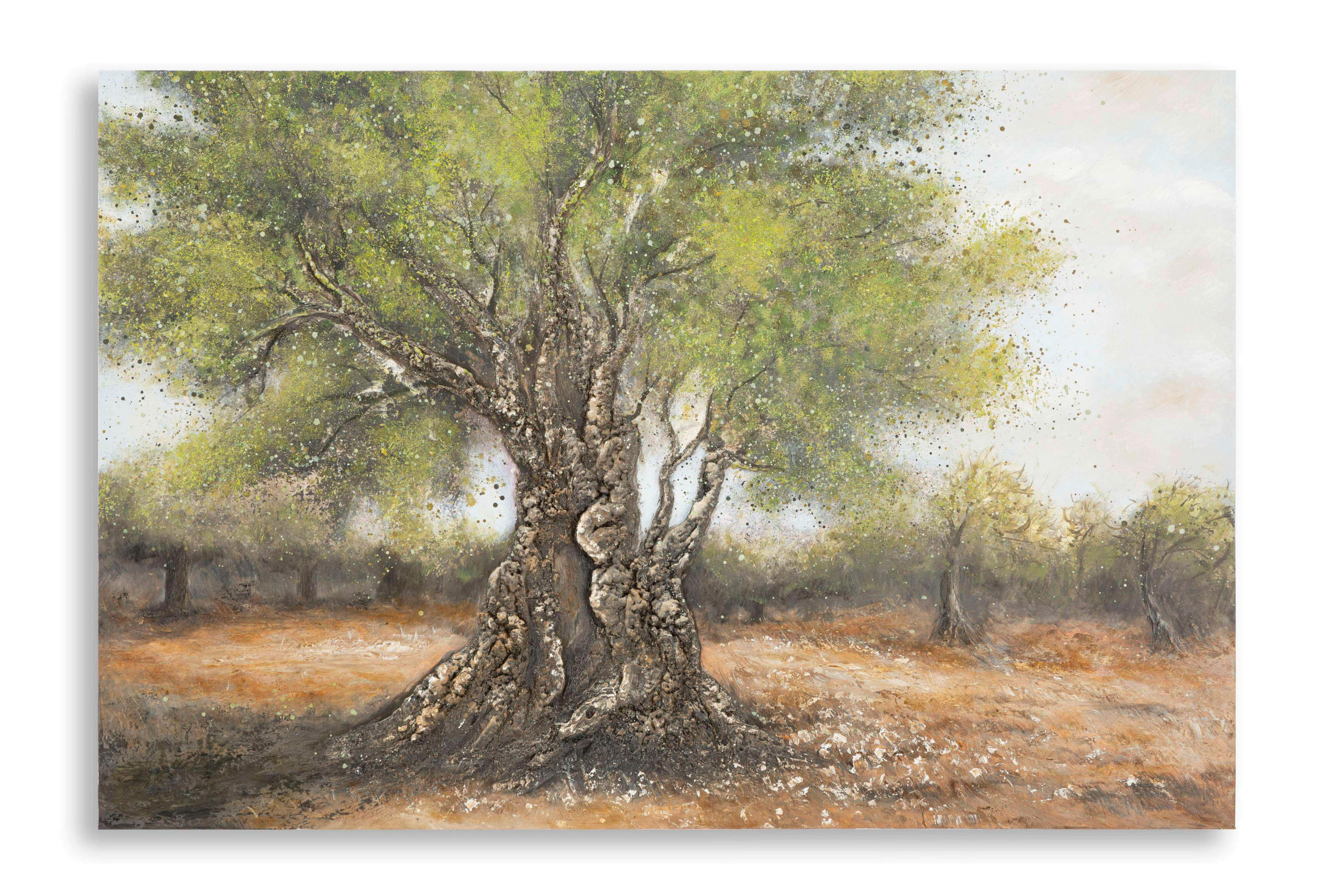 LEINWANDBILD Bäume  - Basics, Holz/Textil (120/80/3.8cm)