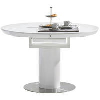 TRPEZARIJSKI STO  bela, boja nerđajućeg čelika   - bela/boja nerđajućeg čelika, Dizajnerski, metal/drvo (120-160/76/120cm) - Novel