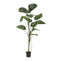 VEŠTAČKA BILJKA     100/100/180 cm         - Osnovno (100/100/180cm)