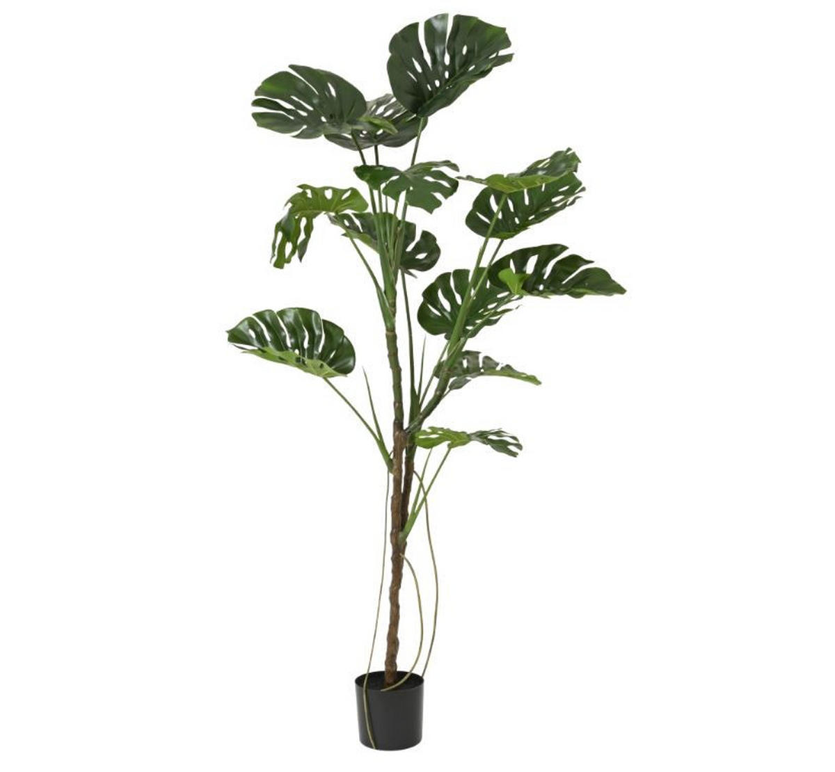 VEŠTAČKA BILJKA     100/100/180 cm         - Osnovno (100/100/180cm)