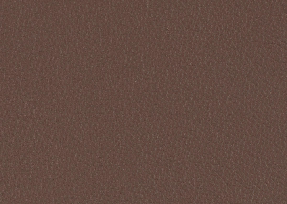 RELAXLIEGE in Echtleder Braun  - Schwarz/Braun, Design, Leder/Metall (120/54-113/158-198cm) - Pure Home Lifestyle