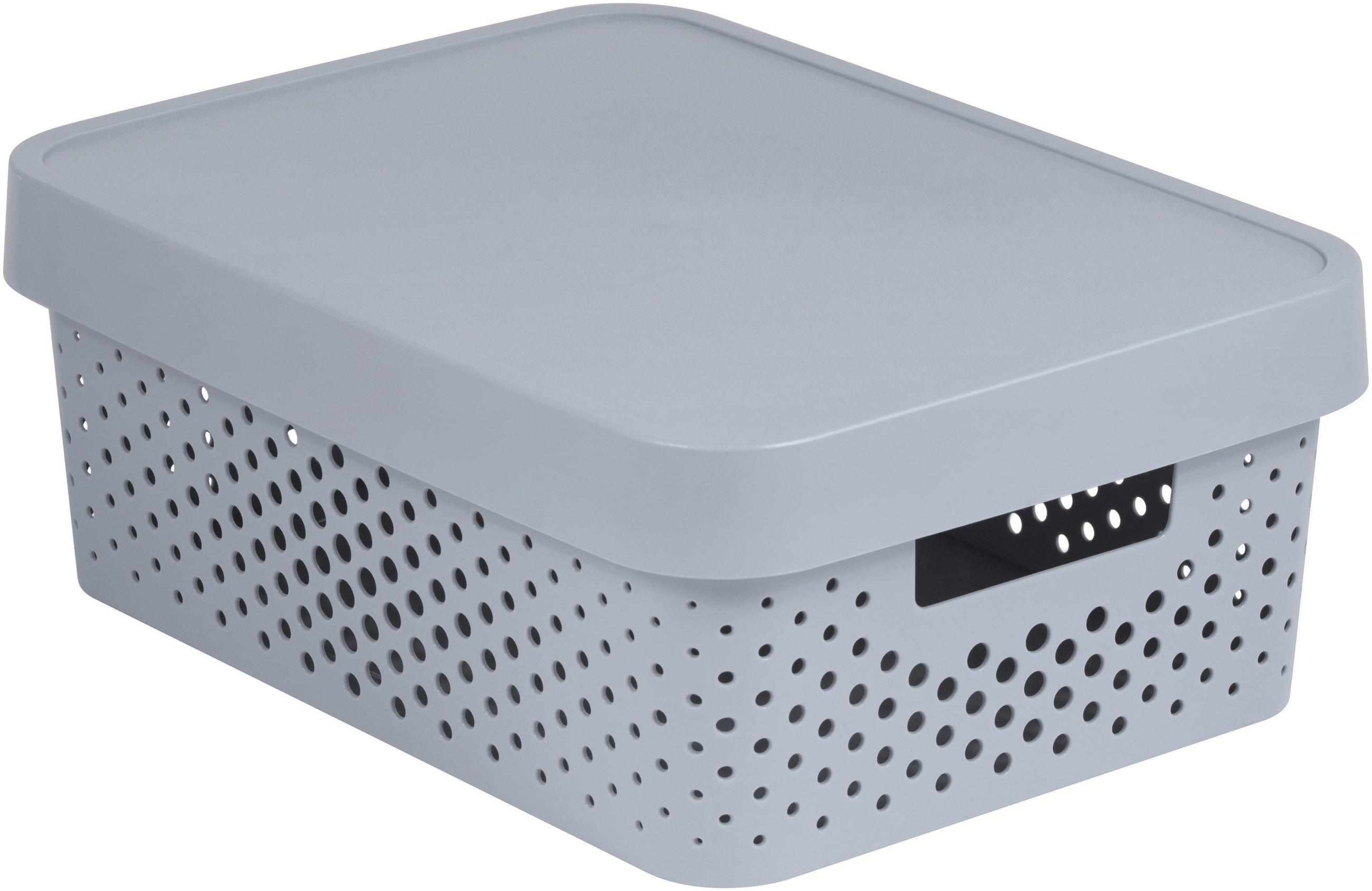 CUTIE CU CAPAC    36.3/27/13.8 cm  - gri, Konventionell, plastic (36.3/27/13.8cm)