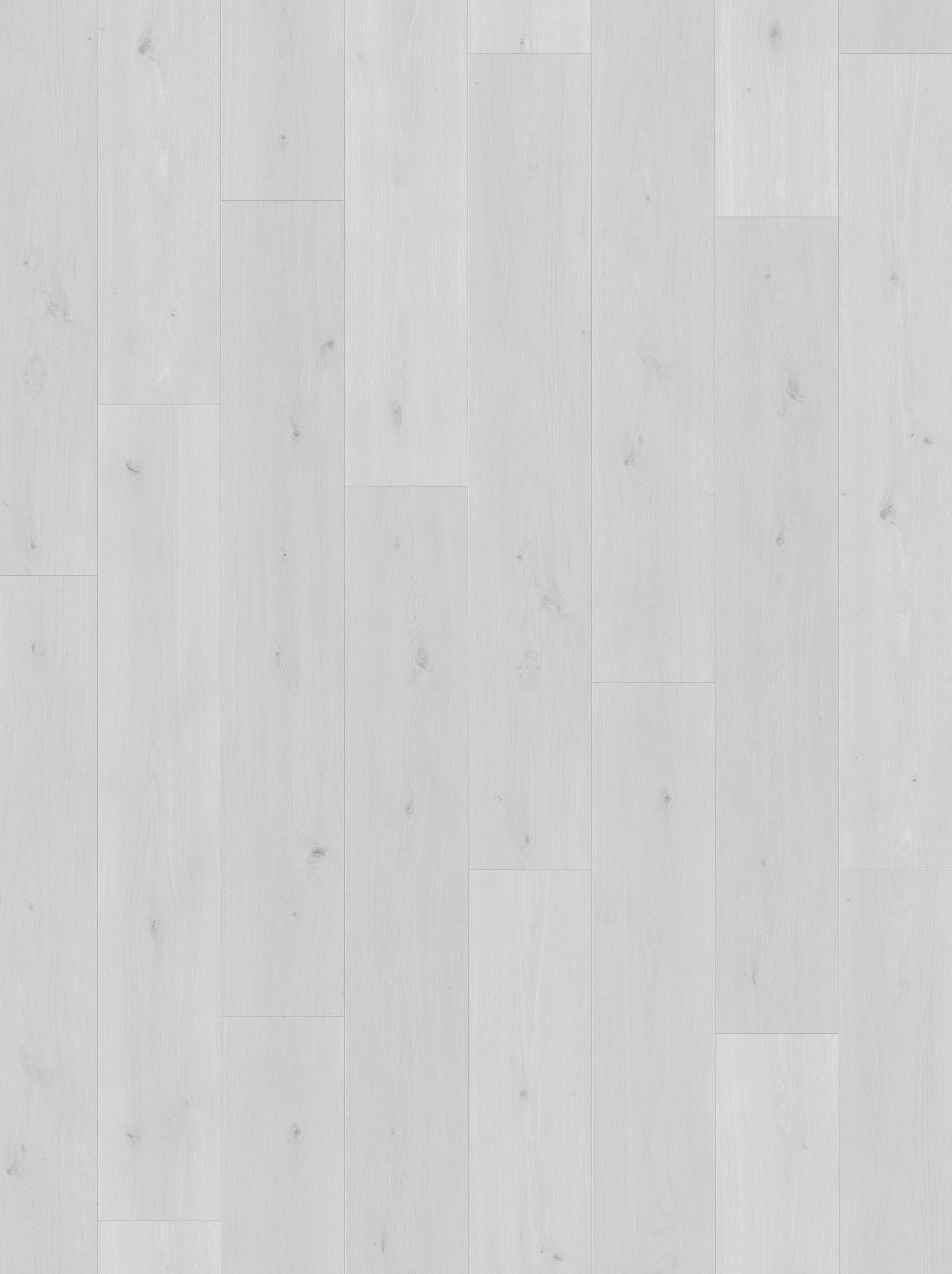 LAMINATBODEN Laminat Basic 400  per  m² - Eichefarben, Basics, Holzwerkstoff (128.5/19.4/0.8cm) - Parador