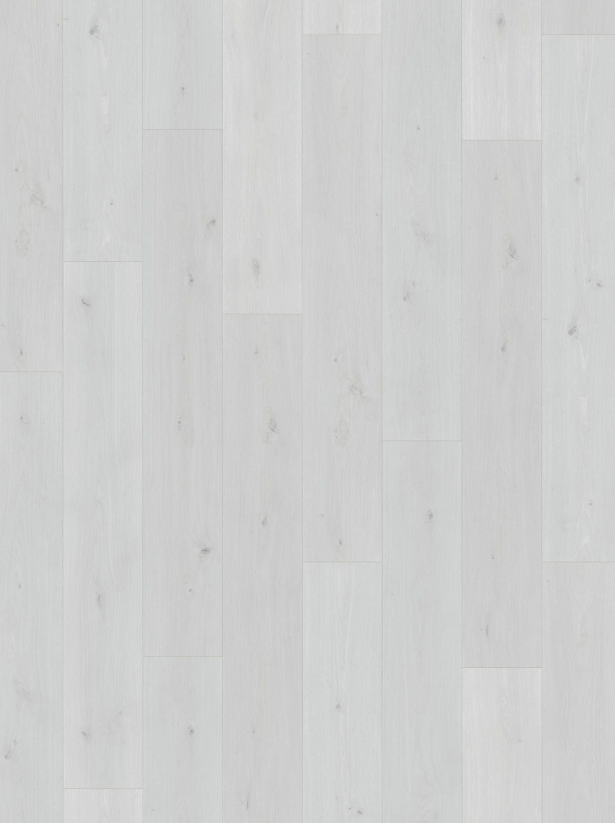 LAMINATBODEN Laminat Basic 400  per  m² - Eichefarben, Basics, Holzwerkstoff (128.5/19.4/0.8cm) - Parador