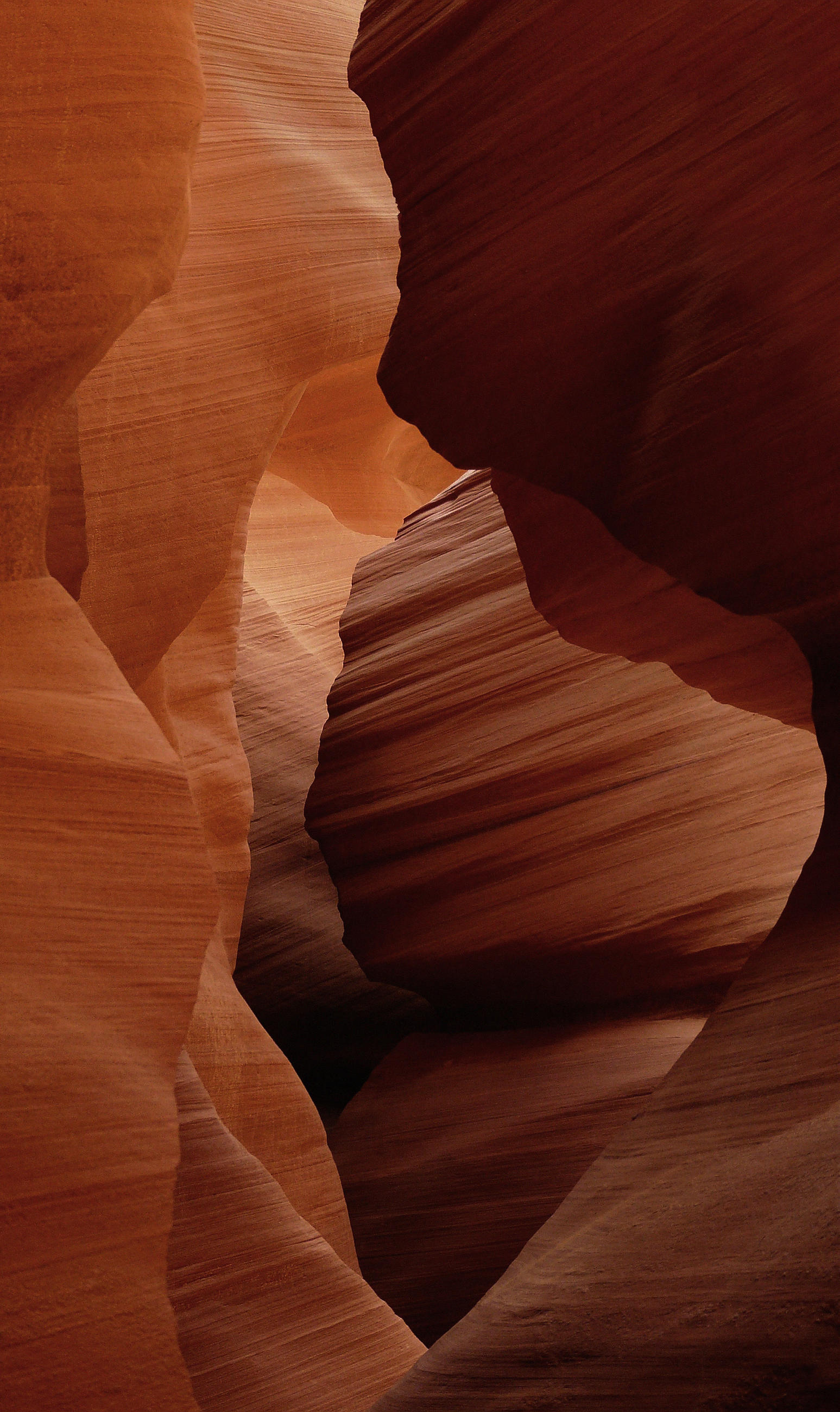 BILD Landschaft & Natur 70/118 cm  - Rotbraun, Design, Metall (70/118cm) - Wandkraft