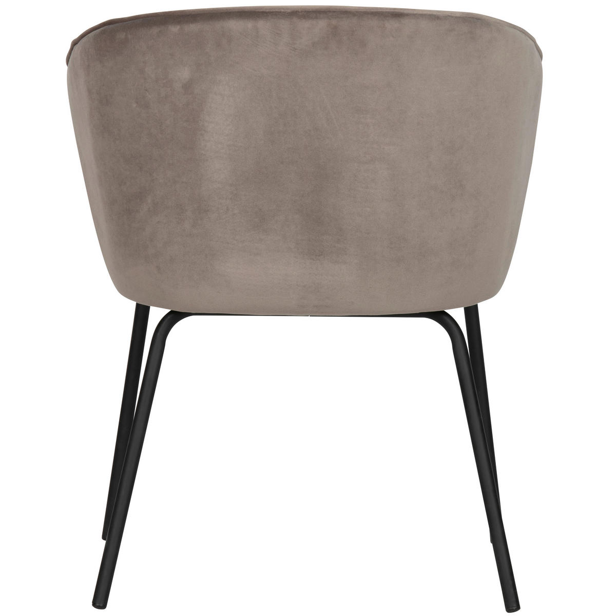 ARMLEHNSTUHL-SET 2 Stück  Samt  - Khaki/Schwarz, Design, Textil/Metall (60/77/59cm) - Livetastic