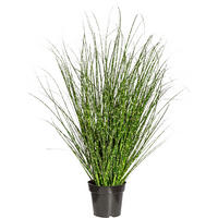 KUNSTPFLANZE Schilfgras 110 cm  - Gelb/Schwarz, Design, Kunststoff (110cm) - P & B