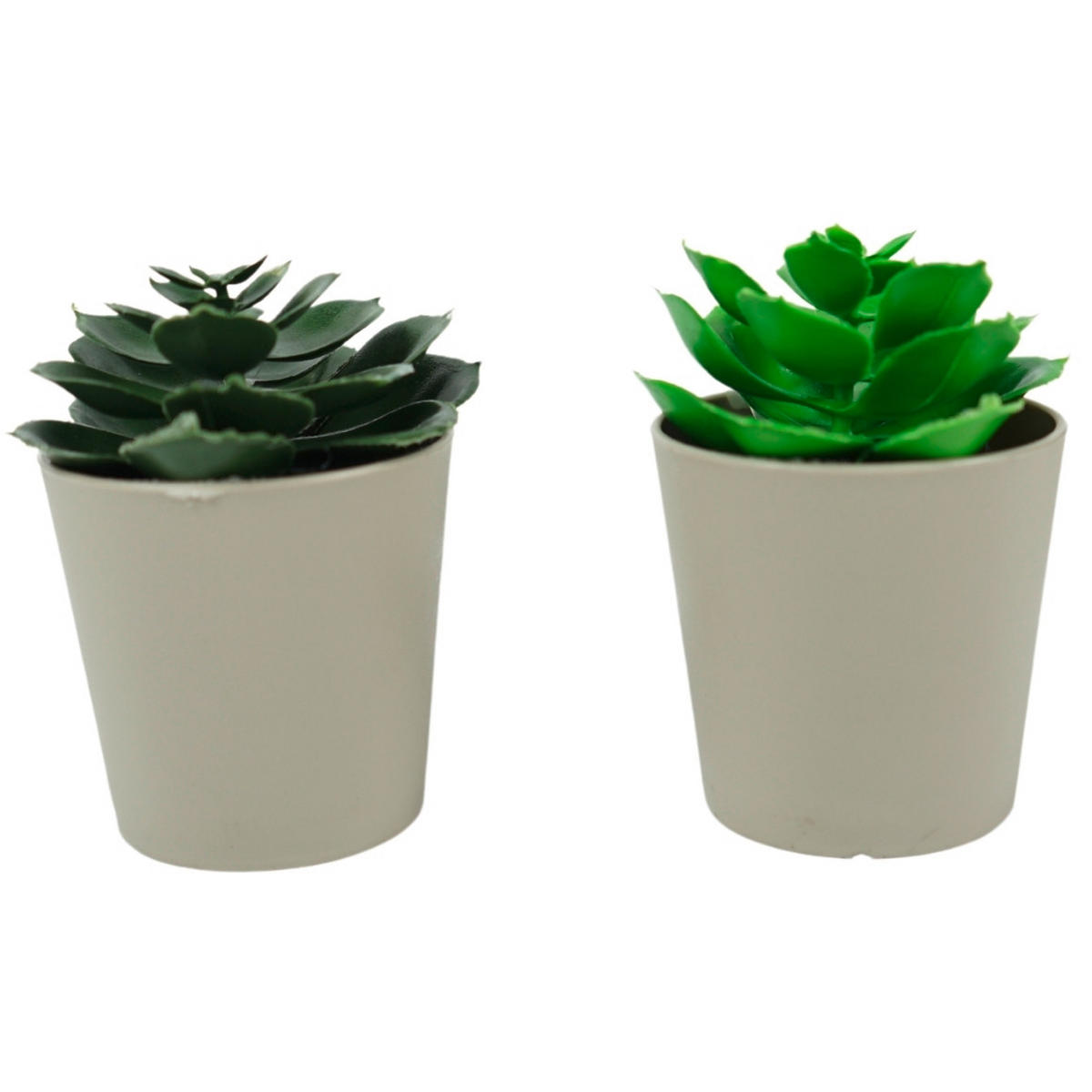 VEŠTAČKI CVET - zelena/bež, Osnovno, plastika (6,5/6,5/10cm)