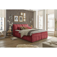 BOXBETT 160/200 cm  in Rot  - Rot/Schwarz, MODERN, Holzwerkstoff/Kunststoff (160/200cm) - MID.YOU