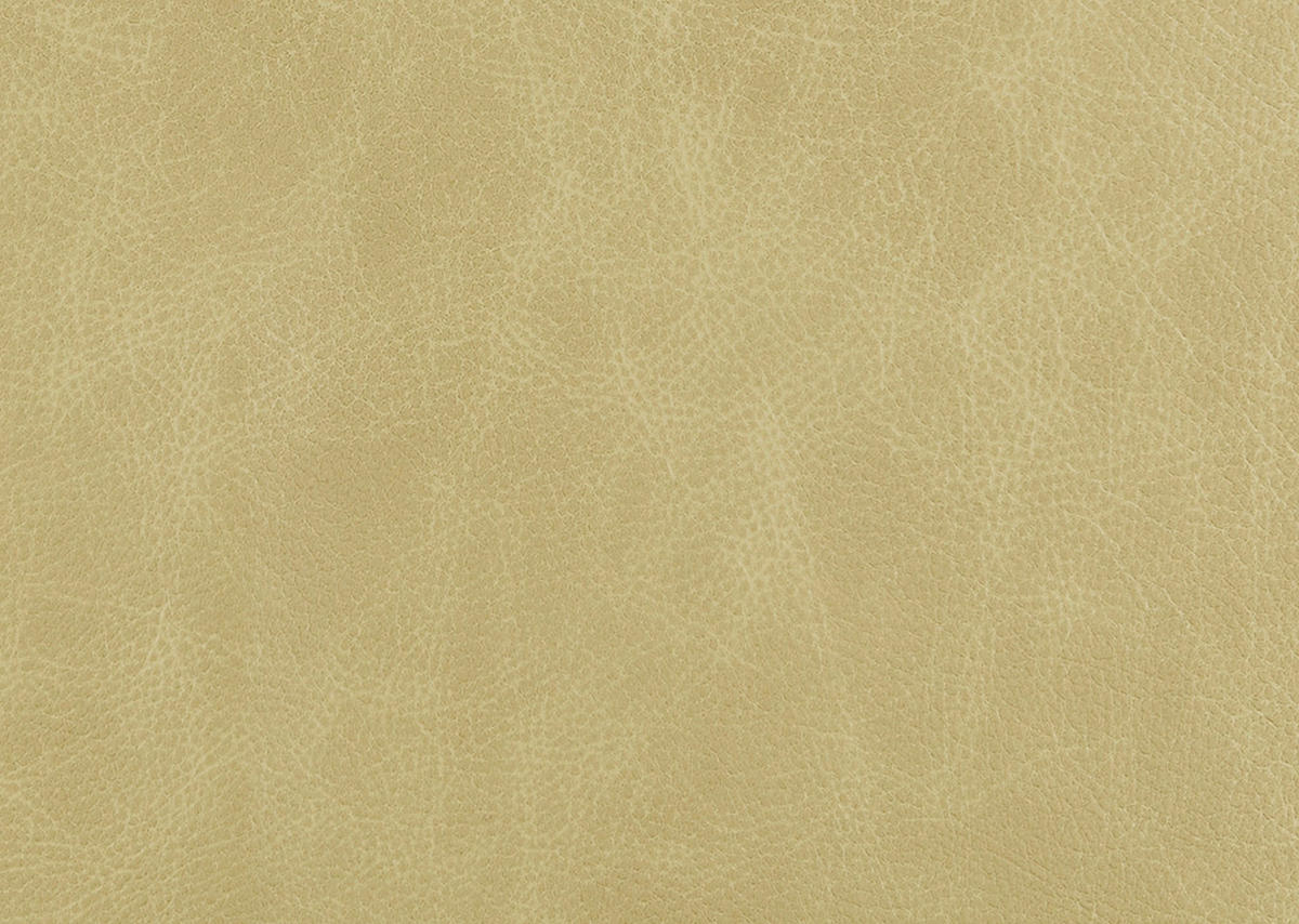 3-SITZER-SOFA  in Echtleder Hellgrün   - Schwarz/Hellgrün, Design, Leder/Metall (224/86/97cm) - Schöner Wohnen