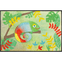 COVORAȘ DE INTRARE 50/75 cm  - multicolor, Design, plastic/textil (50/75cm) - wash+dry