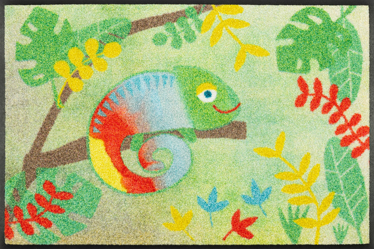 COVORAȘ DE INTRARE 50/75 cm  - multicolor, Design, plastic/textil (50/75cm) - wash+dry