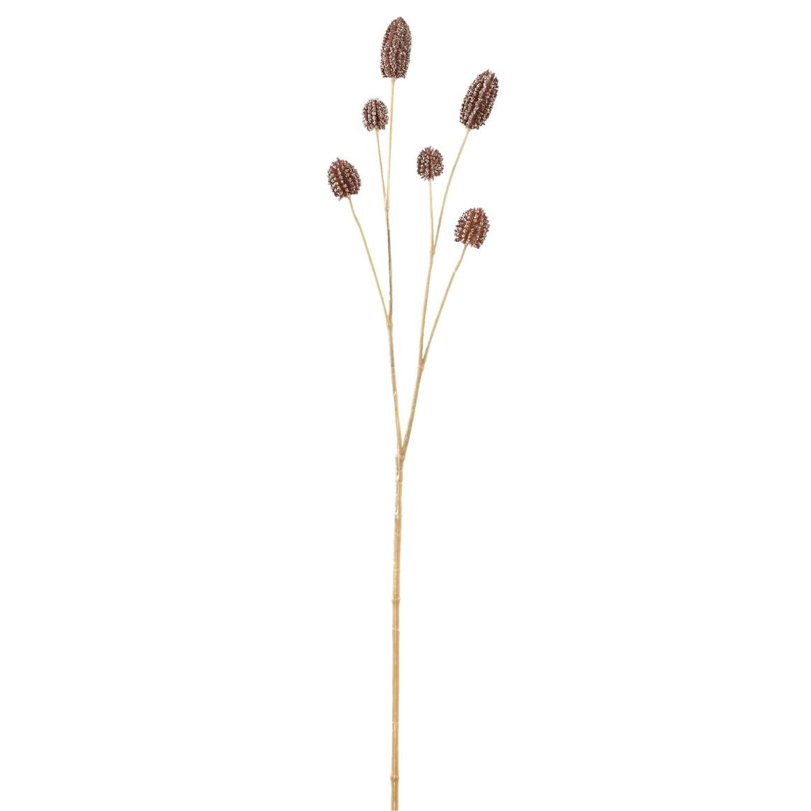 UMETNA RASTLINA    28/10/54 cm           - rjava, Basics, umetna masa (28/10/54cm)