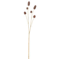 UMETNA RASTLINA    28/10/54 cm           - rjava, Basics, umetna masa (28/10/54cm)