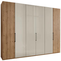FALTTÜRENSCHRANK 300/216/58 cm 3-türig Champagner, Eiche Bianco  - Schieferfarben/Eiche Bianco, KONVENTIONELL, Glas/Holzwerkstoff (300/216/58cm) - Dieter Knoll